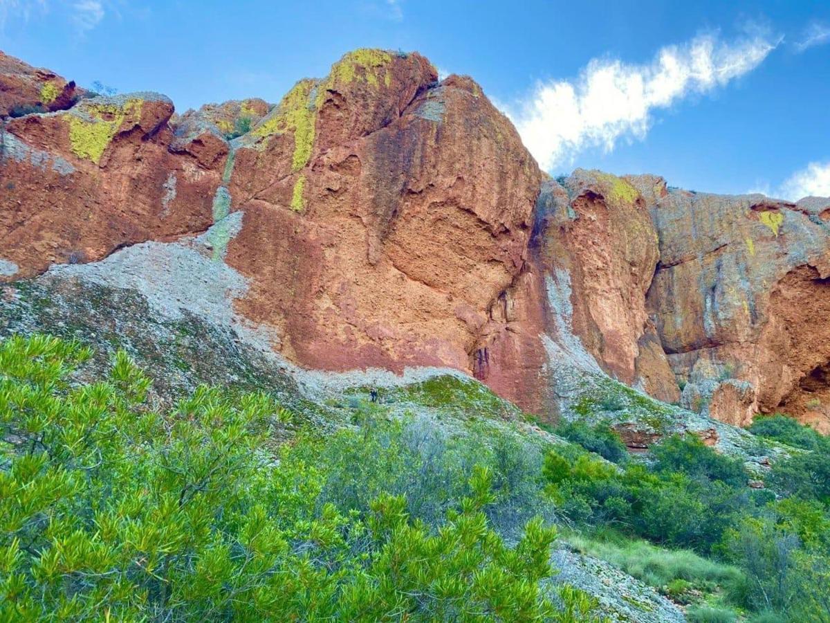 شقة Red Mountain Ridge Karoo Oasis And Guest Farm Buffelskloof المظهر الخارجي الصورة